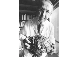 catedra-el-doctor-paul-maclean-el-sistema-limbico-y-el-cerebro-triunico.webp catedra-el-doctor-paul-maclean-el-sistema-limbico-y-el-cerebro-triunico.webp