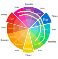 1792843812777.webp