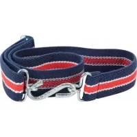 snake-belt.webp