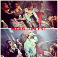 migoconcert.webp