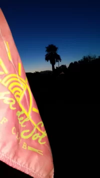 before the sun.webp
