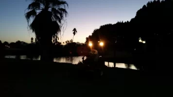 Greens.webp