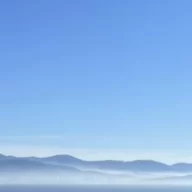 Ziw
