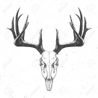 The_Saphir