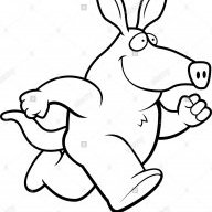 Aardvark