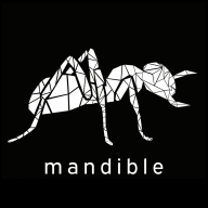 Mandible
