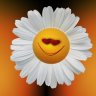 smiley49