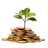BuuPJ