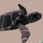 turt