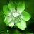 greenlotus
