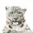 Snowleopard