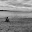 johnney_