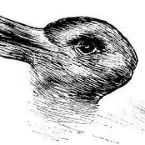 Duck-Rabbit Analogy.webp