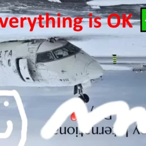 1741879348429.webp