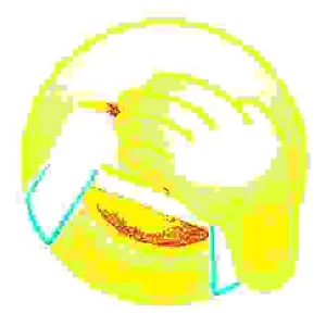 1742547011380.webp