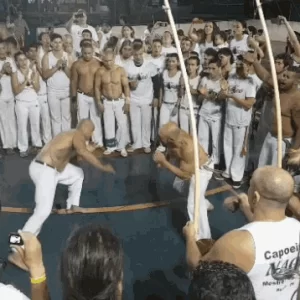 capoeira.gif