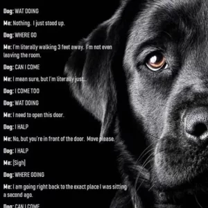 FB_IMG_1745364521158.webp