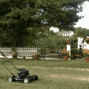 1000006381.gif