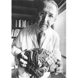 catedra-el-doctor-paul-maclean-el-sistema-limbico-y-el-cerebro-triunico.webp