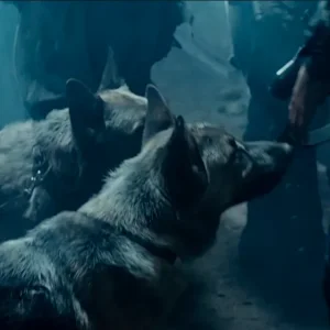Screenshot_20260406_180337_YouTube.webp
