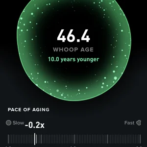 Screenshot 2026-04-12 at 8.17.25 AM.webp