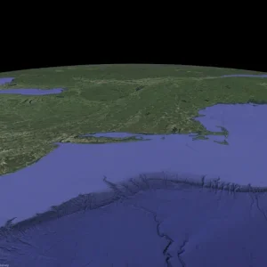 1783631993895.webp