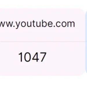 1785091318339.webp