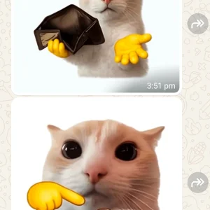 Screenshot_20261020_163936_WhatsApp.webp