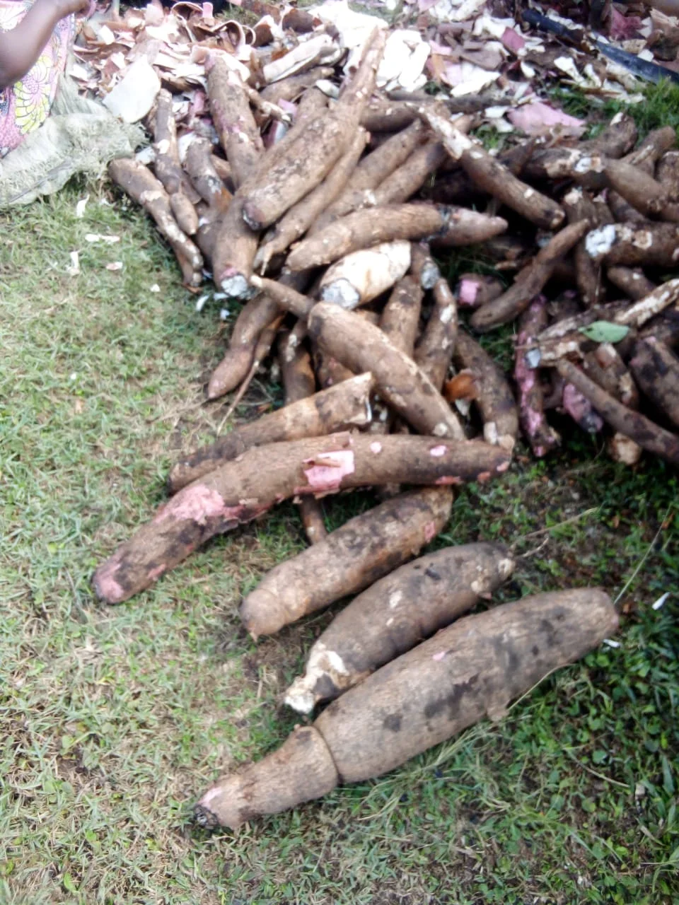 IMG-20260830-WA0027.webp