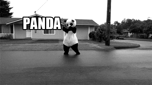 funny-dancing-panda-street-hit-truck-car-animated-gif.gif