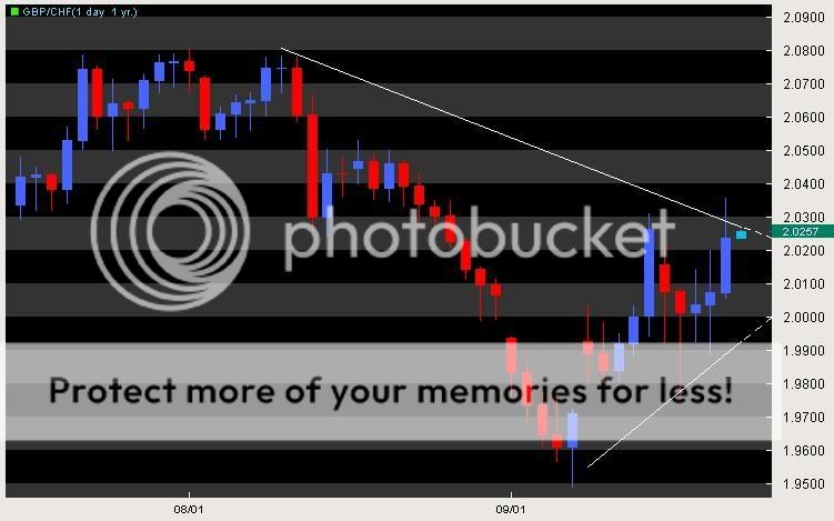1yrgbpchf.jpg