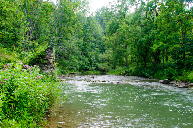 DSC_1481.jpg