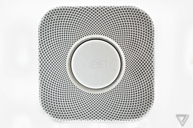 nest9_large_verge_medium_landscape.jpg