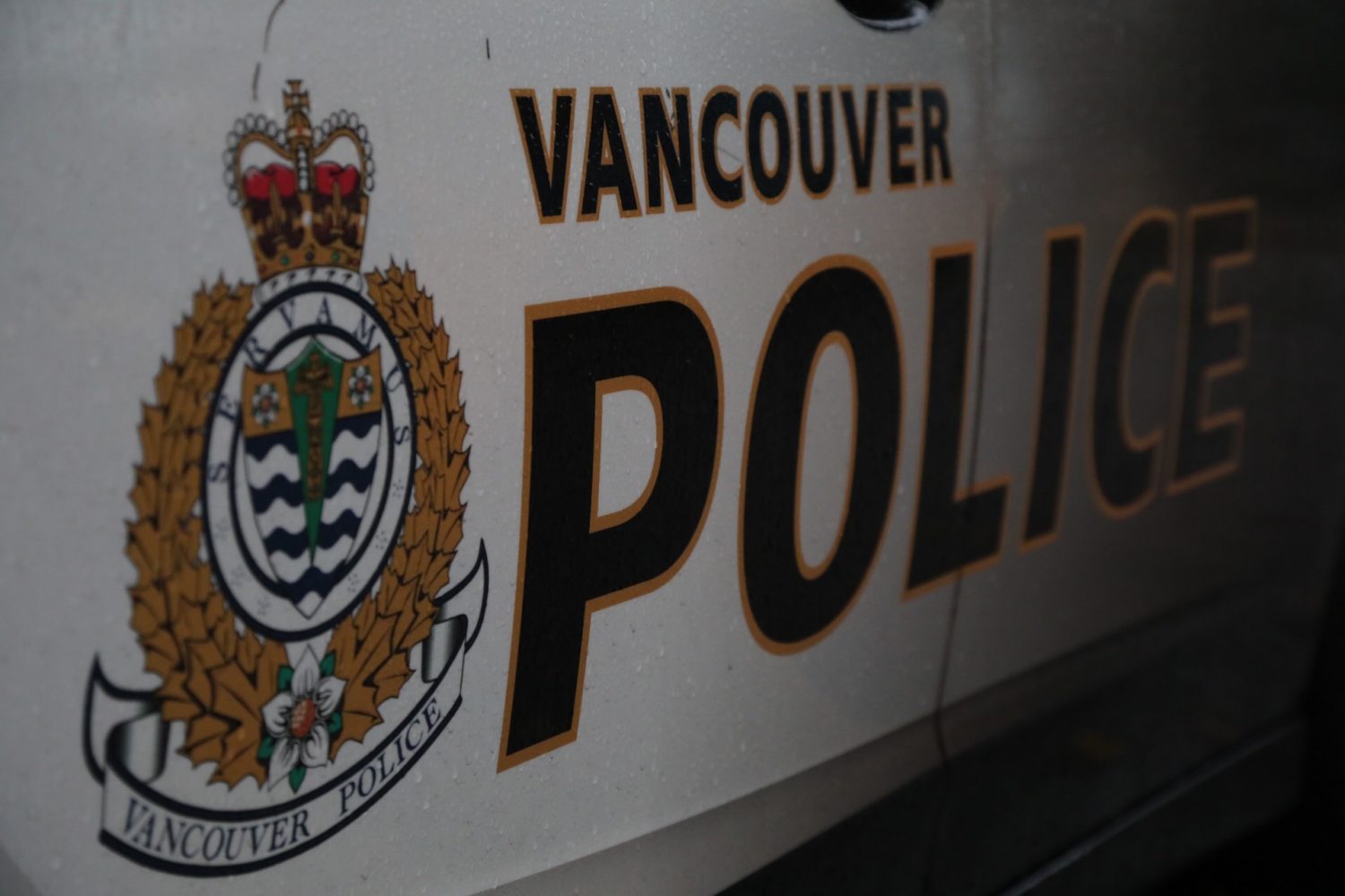 www.citynews1130.com