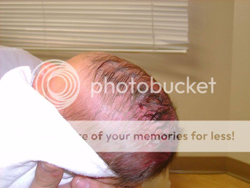 head2.jpg