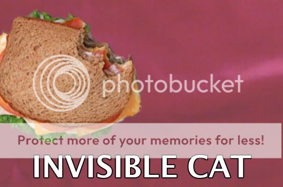 invisible_cat.jpg