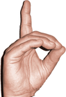 sign_language_photo_D_unlabeled.png