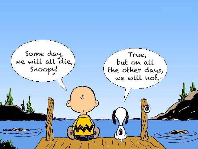 Charlie-Brown-and-Snoopy-cartoon-someday-we-die.jpg