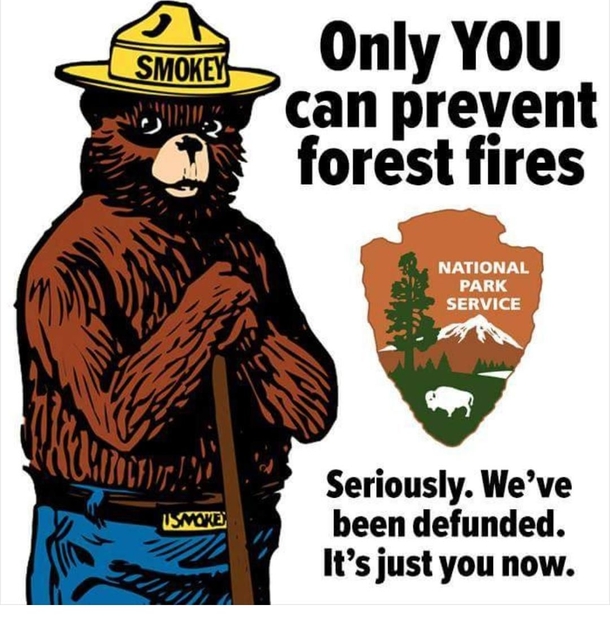 only-you-can-prevent-forest-fires-256912.jpg
