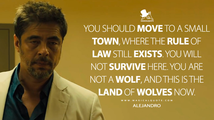 You-should-move-to-a-small-town-where-the-rule-of-law-still-exists.-You-will-not-survive-here.-You-are-not-a-wolf-and-this-is-the-land-of-wolves-now.jpg
